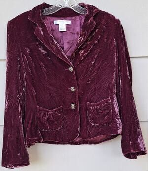 Y2K Persuits, ltd Velour Crashed Velvet Regency Purple Pink Blazer Jacket 6p S/M